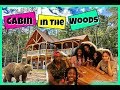 Cabin We In The Woods Ya'll |  Family Vlogs | JaVlogs