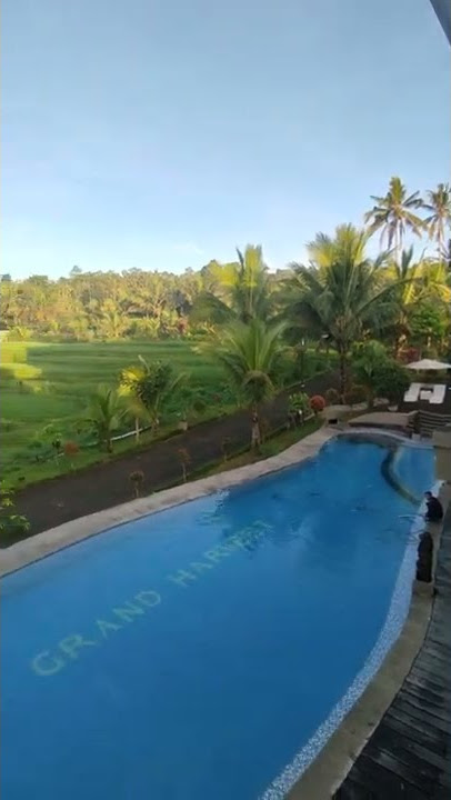 Free footage story wa 4 | Grand Harvest Villa And Resort Banyuwangi #staycation #banyuwangi #storywa