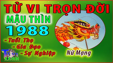 Tử vi Trọn đời 1988- Mậu Thìn- Nữ mạng: TAY DỰNG CƠ ĐỒ- TIỀN ĐÔ CẢ KÉT