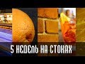 Пять недель на фотостоках, 261 Фотография и 96 видео. Фото Привет. Заработок на фотостоках