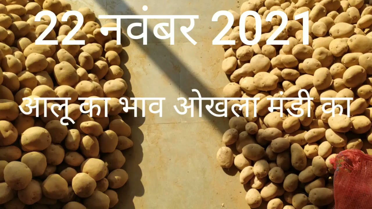 How To Potato Price Today 22 November 2021 of Okhla Mandi YouTube