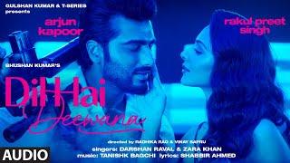 Dil Hai Deewana (Audio) | Arjun K, Rakul | Darshan, Zara | Tanishk, Shabbir | Radhika, Vinay