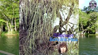 Small Fruit Song - Al Stewart |Lyrics| HD