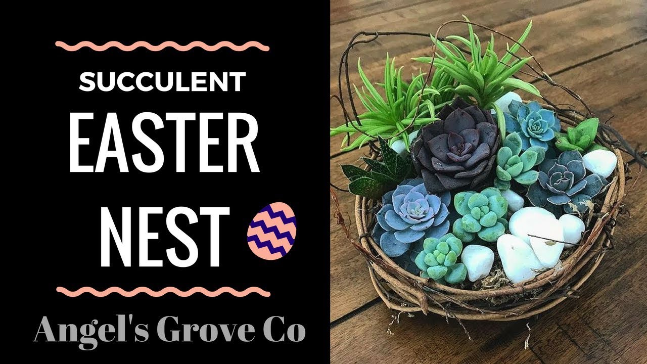 Succulent Easter Nest Arrangement // Angel's Grove Co