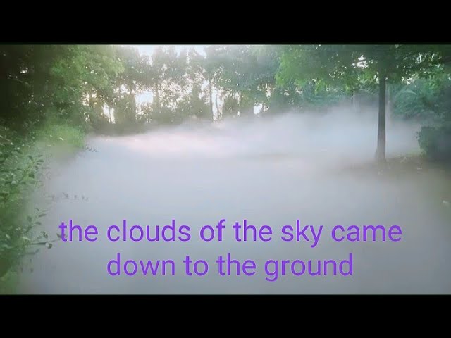 Obejrzyj Clouds In The Garden Of The Farm House High Pressure Misting System w YouTube Obejrzyj Clouds In The Garden Of The Farm House High Pressure Misting System w YouTube