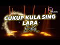 CUKUP KULA SING LARA - Erika ( lirik / lyric ) lagu TARLING #trending #lyricvideo