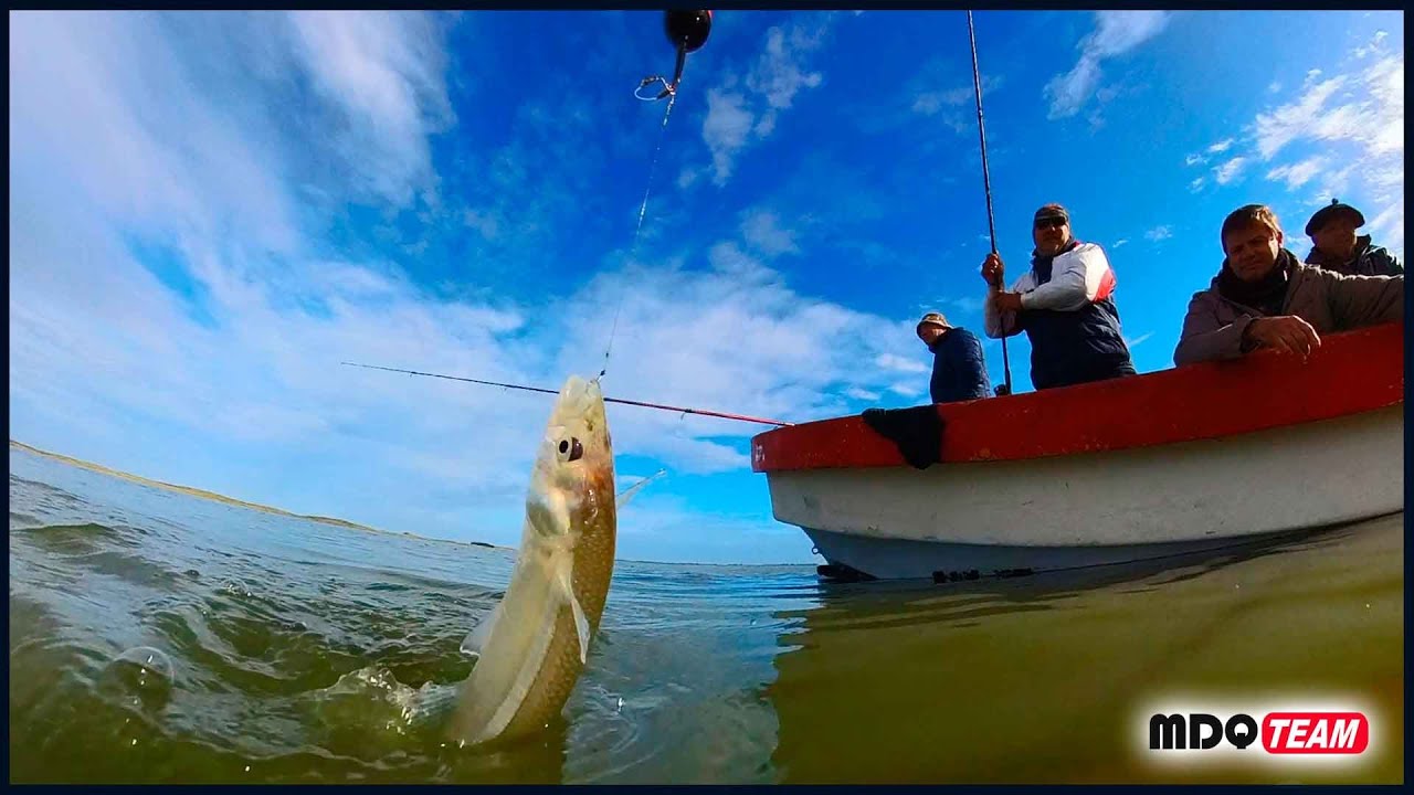 Esta es una de las mejores lagunas del 2025 para PESCAR PEJERREY