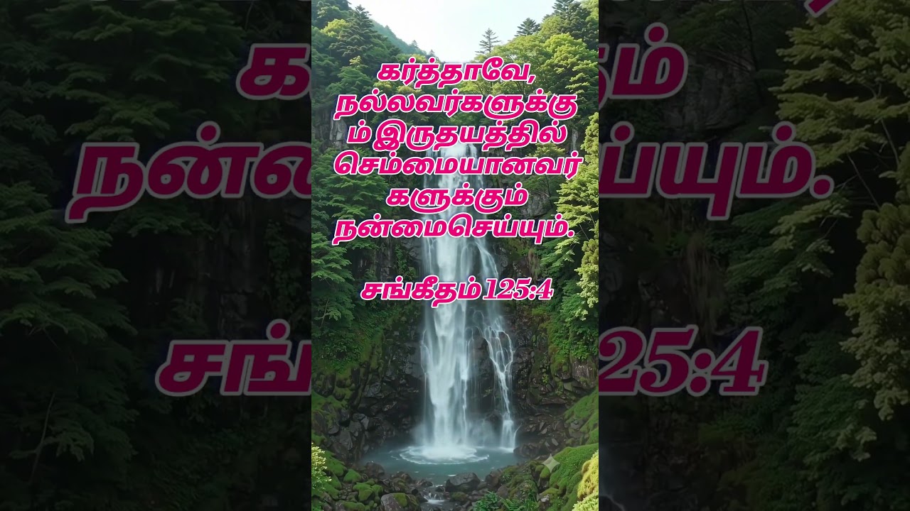 என் இரச்சிப்பின் தேவனே | Bro. VINCENT PACHAIMAL