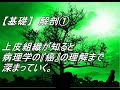 【基礎】解剖①　上皮組織が知ると、病理学の『癌』の理解まで深まっていく。