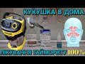 Лікування гаймориту в домашніх умовах , промивка носа (кукушка )