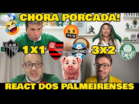 OLHA O QUE OS PALMEIRENSES FALARAM DO FLAMENGO... REAÇÕES DOS PALMEIRENSES REVOLTADOS kkk