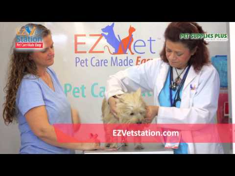Pet Supplies Plus Vet Clinic Hours