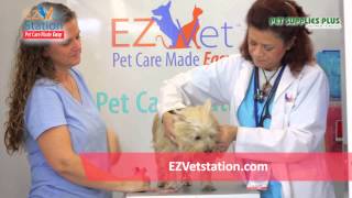 EZ Vet Pet Care Station
