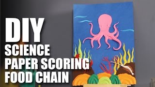 Diy Paper Scoring Food Chain Youtube