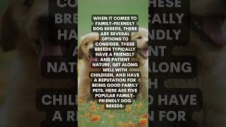 familyfriendly dog breeds