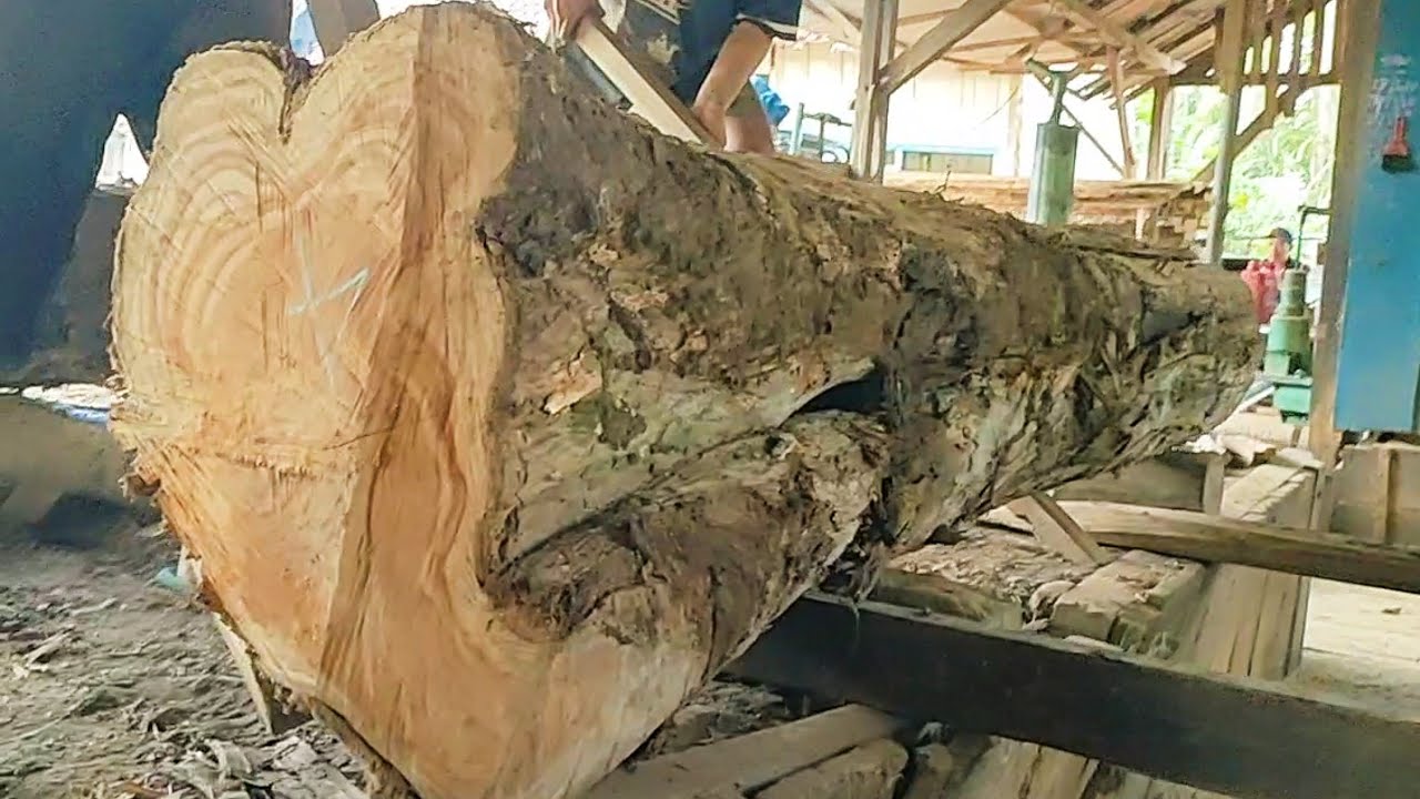 sawing old teak wood full of beautiful grain into good solid planks ...