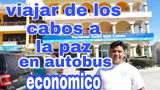 Viaja de cabo a la paz en autobus  economicos.