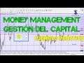Ejemplo de gestión del capital en Forex (money management) - Winpips