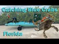 Blue Crabbing in Florida | How to Catch, Clean & Cook | Solo Skiff