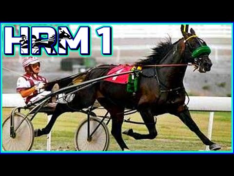 Horse Racing Games  - Horse Racing Manager Final Stretch #10