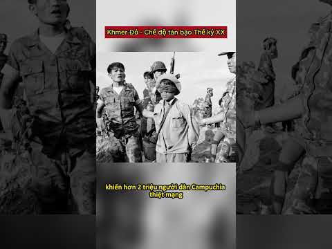 Chế độ Pol