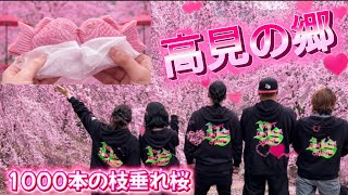 [They're about to be in full bloom now!] Takami no Sato!! screenshot 5