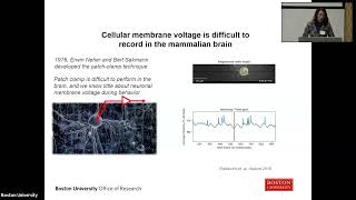 Xue Han - Derive Principles to Improve Clinical Neuromodulation Efficacy