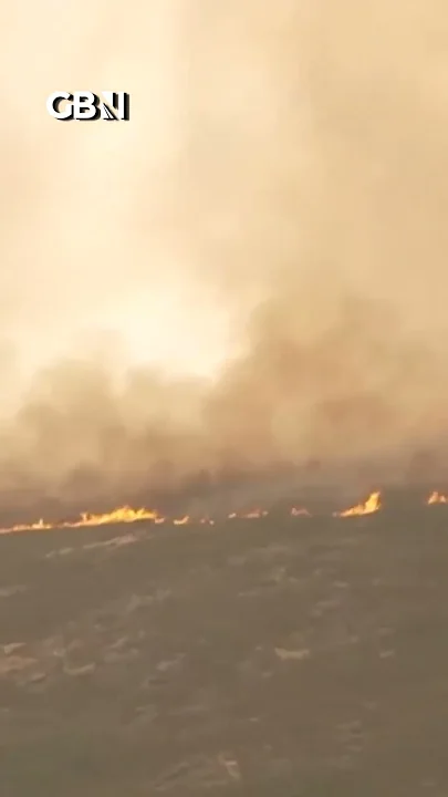 Wildfires TEARS through Spain’s Castile and Leon as PM warns of extreme threat