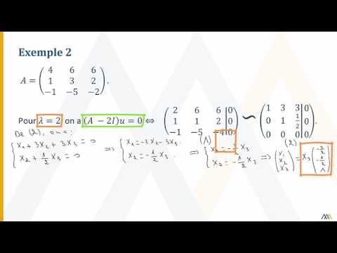 Vidéo: Les vecteurs propres sont-ils toujours linéairement indépendants ?