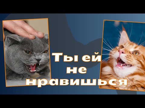 Язык тела. 9 признаков того, что она тебя не любит.