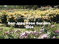 2024 San Jose Rose Garden Tour Northern California Zone9B EP36