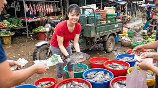 Massive 1000+ Fish Harvest by Drag Net | 3 Wheel Truck Loads Fish for Market Sale