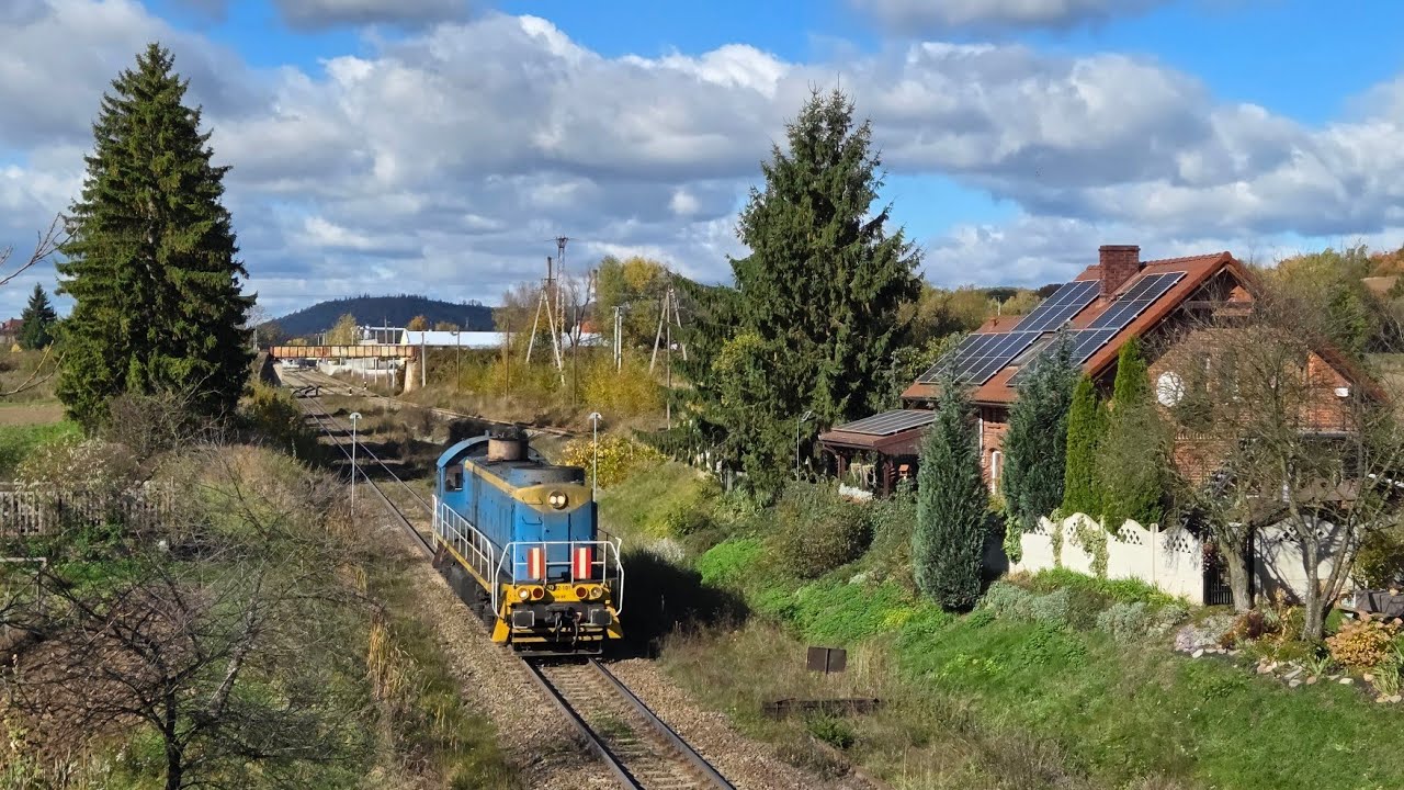 TEM2-101 RC Trans w Ścinawce Średniej