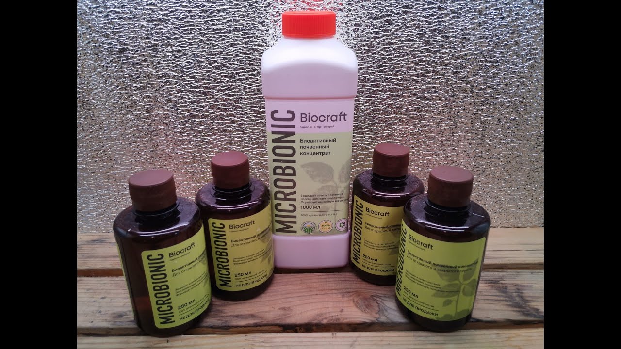 Нужны ли удобрения для выращивания микрозелени? Микрозелень и Микробионик.