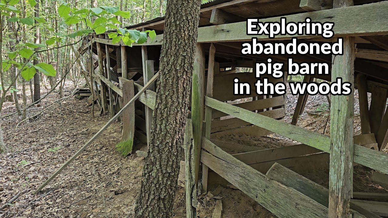 Exploring abandoned pig barn - YouTube