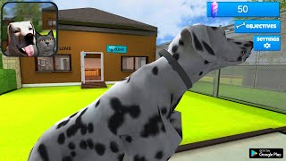 СИМУЛЯТОР ВЕТЕРИНАРА ОТ 1 ЛИЦА ИГРА НА АНДРОИД ОБЗОР DOG & CAT SHELTER SIMULATOR 3D ANDROID GAMEPLAY screenshot 5