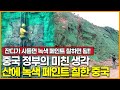 중국 정부의 미친 생각, 산에 녹색 페인트 칠한 중국