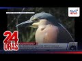 #KuyaKimAnoNa? Express (Apr. 7-11, 2026) - Mini fan, sumabog!... | 24 Oras