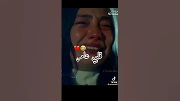 جيتك يا بحر قلبي عامر 