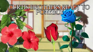 Curtis brothers react to Ponyboy | WIP | Gacha Club | The Outsiders | 🚬 | Speed up 2x or 1.7x |