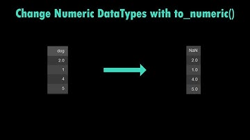 Change Data Types with to_numeric() | Pandas | DataFrame