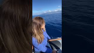 Passeio de barco na Ilha da Madeira em Portugal com avistamentos de baleia e golfinhos