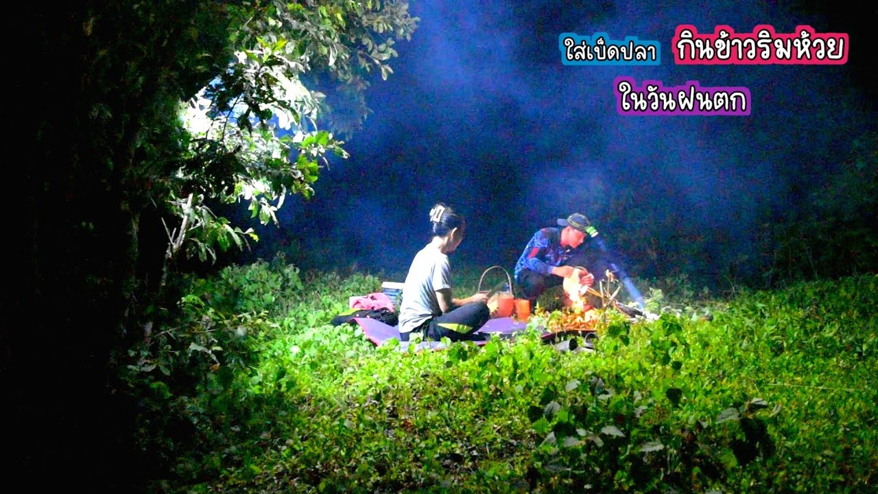 อะไรจะดุขนาดนี้!! ใส่เบ็ดโดนช่อนใหญ่ กินข้าวริมห้วย กับบรรยากาศฝนตกรินๆตอนเช่า/บ้านนาพาสุข EP.519