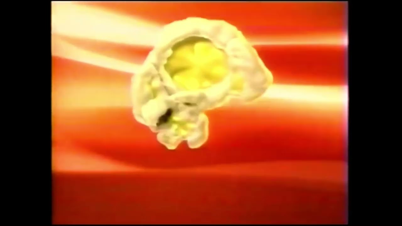 Family Popcorn Pix Intro (2007)