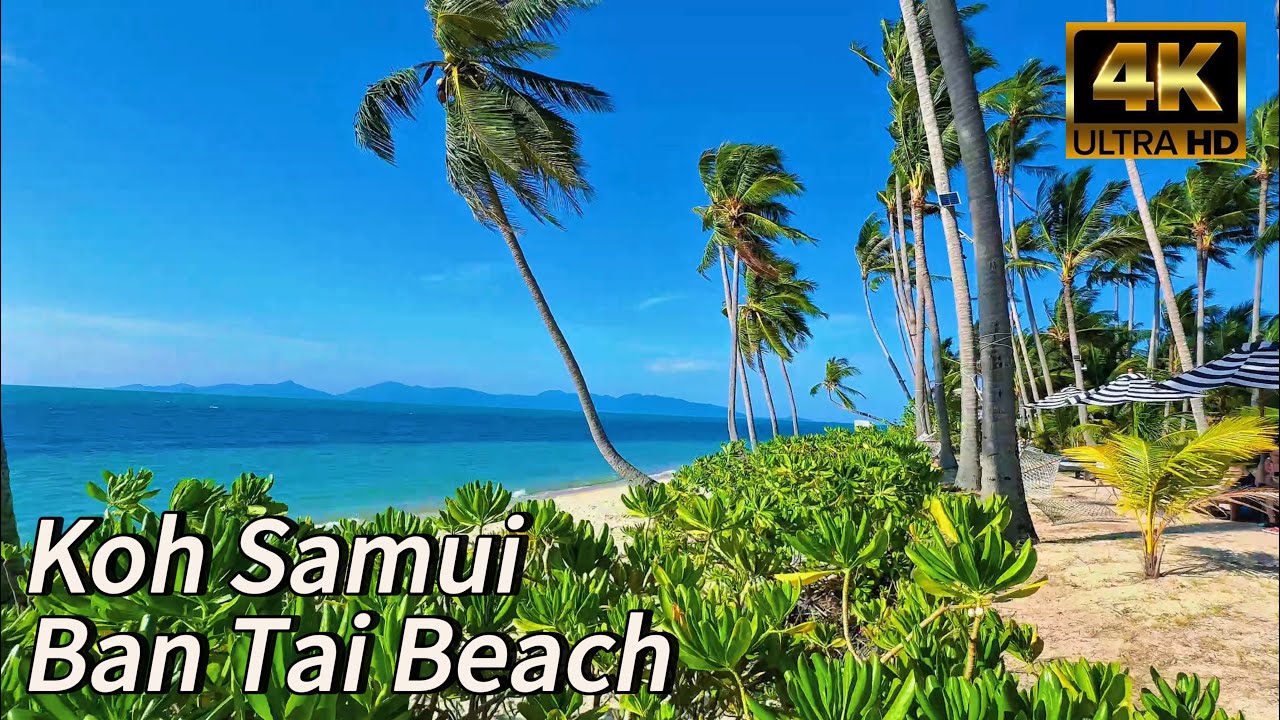 Ban Tai Beach Koh Samui 4K Walking Peaceful Paradise from Cape Beach Villas to Park Pho Tak Yao 