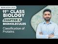 11th Class Biology Chapter 4 | Classification of Proteins | Class 11th Biology New Book 2025