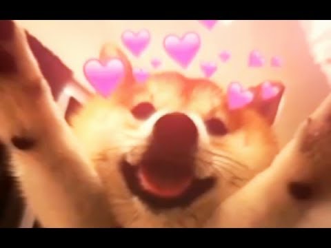 Send this to