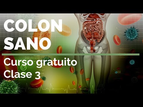 Vídeo: 3 Organizaciones Que Ayudan A Mejorar Su Salud Intestinal