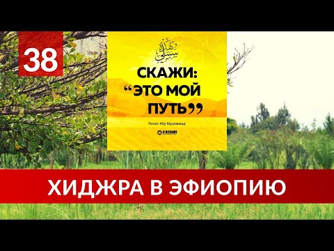 38. Хиджра в Эфиопию | Ринат Абу Мухаммад