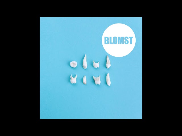 Blomst - Blomst (2015) class=